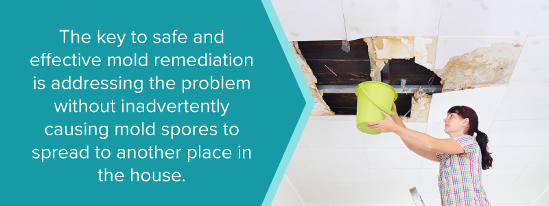 Essential Steps Of Mold Remediation Process!