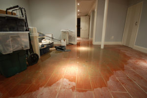 water damage restoration in basement of house