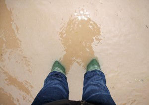 sump pump overflow in basement