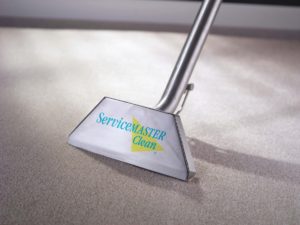 Commercial Carpet Cleaning