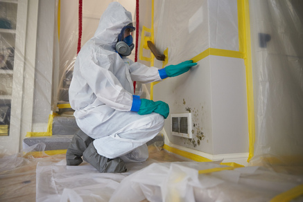 Mold remdiation and removal chicago
