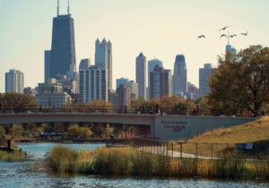 Nature Boardwalk in Lincoln Park Chicago.