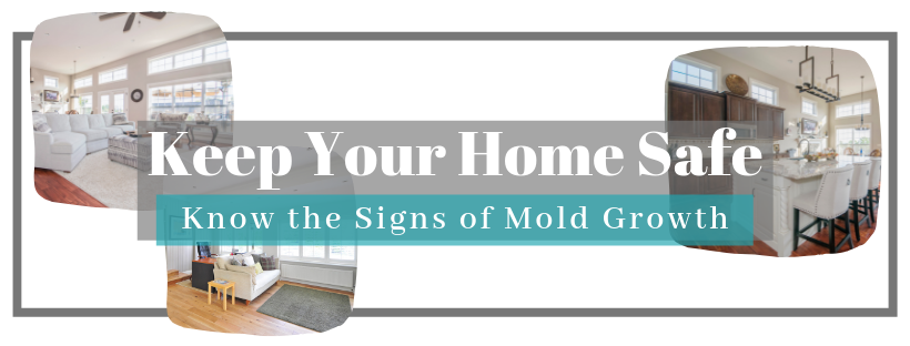 know the signs of mold growth