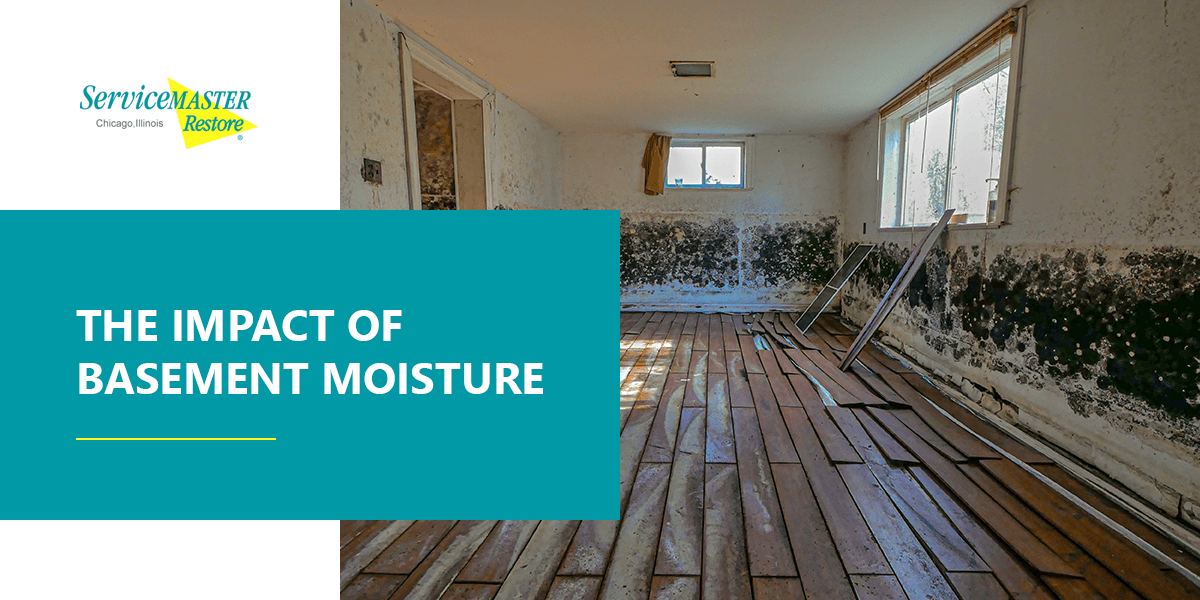 The Impact of Basement Moisture ServiceMaster LP