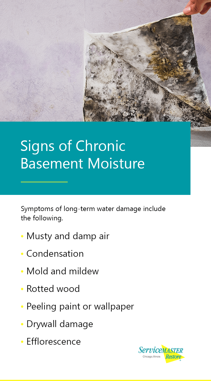 Signs of chronic basement moisture