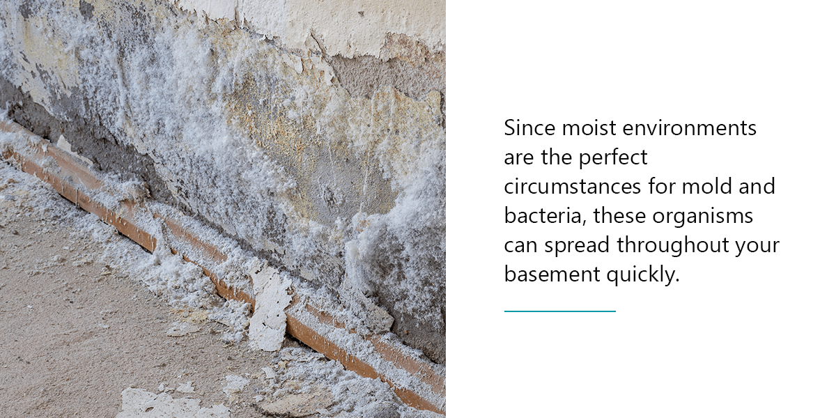 The health effects of a wet basement