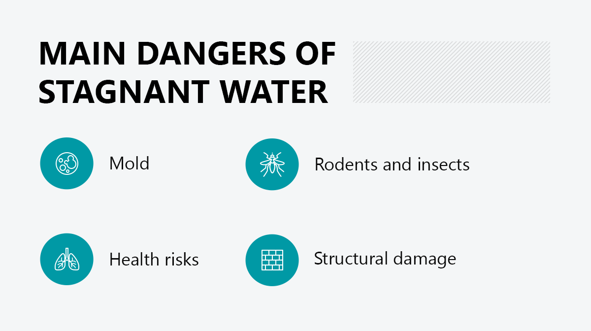 Main dangers of stagnant water