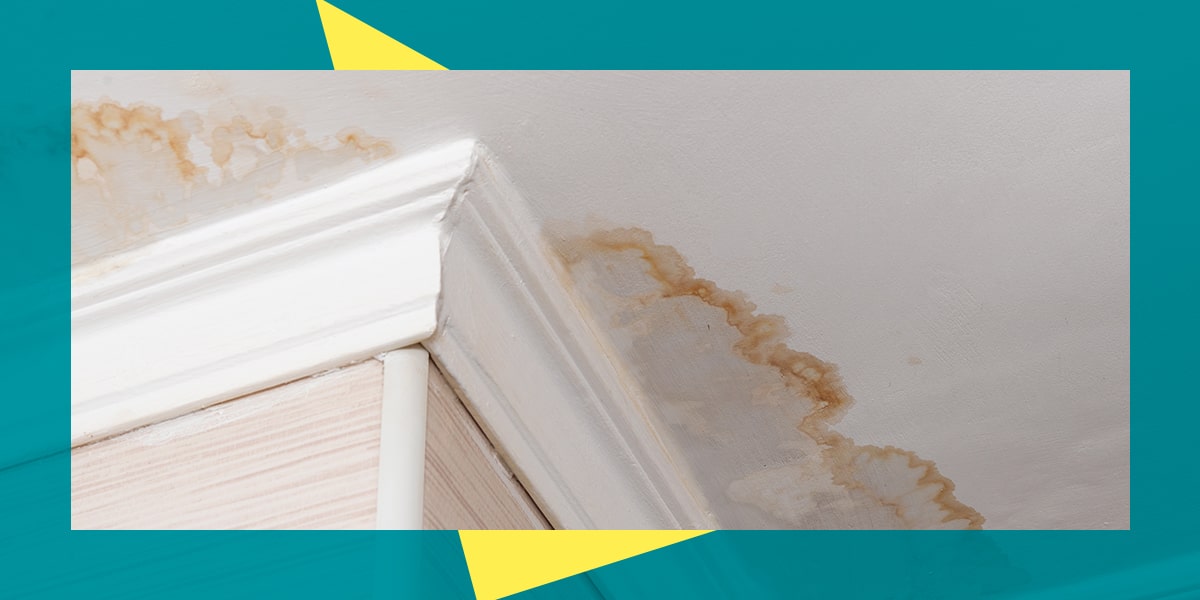 How To Tell If Water Damage Is Old