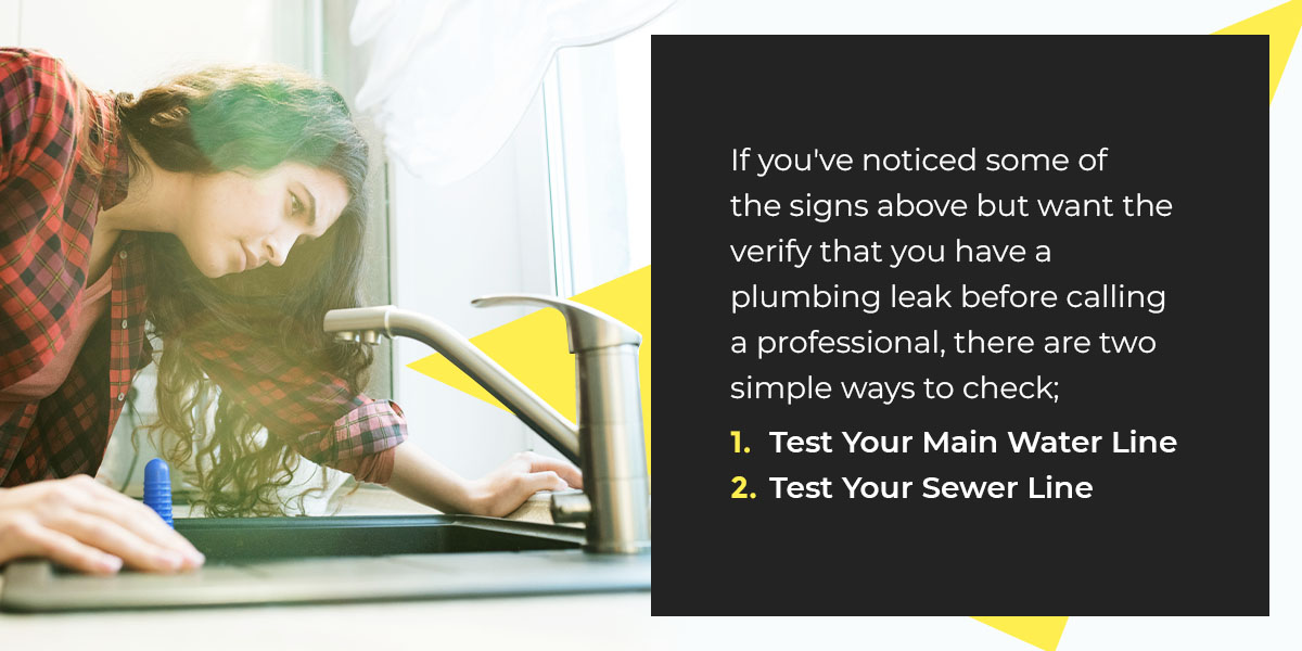 02-ways-to-test-for-a-plumbing-leak
